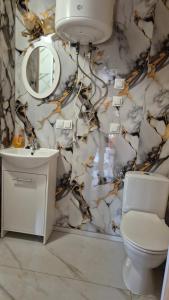 a bathroom with a toilet and a sink and a mirror at Domki Białogarda in Białogarda +40 photos