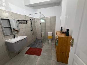 a bathroom with a shower and a sink and a toilet at Makeda in Chiconi +20 photos