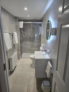 a bathroom with a shower and a sink and a toilet at Dunderry Lodge Luxury Suites in Navan +3 photos