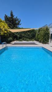 a large blue swimming pool with a canopy over it at Masseria Mustazzo in Siponto