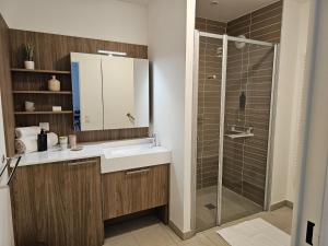 a bathroom with a sink and a shower at DOMITYS - Les Passementiers in Villars