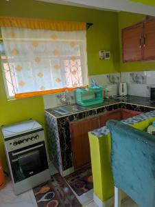 a kitchen with green walls and a stove and a sink at ADONAI Homes in Malindi