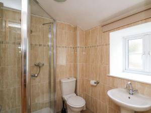 a bathroom with a toilet and a sink and a shower at Tegfan in Newport +15 photos