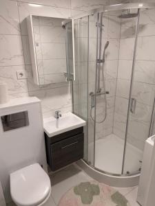 a bathroom with a shower and a toilet and a sink at Apartment Ventos 55 in Mažeikiai