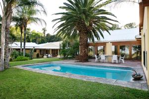 a backyard with a swimming pool and a palm tree at Riverbank Lodge in Upington