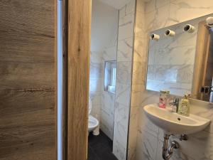 a bathroom with a sink and a toilet at Bruchsal Herz in Bruchsal