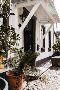 a house with a potted plant in front of a door at Gästehaus Frevel in Münstermaifeld +13 photos