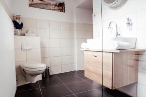 a bathroom with a toilet and a sink at Gästehaus Frevel in Münstermaifeld
