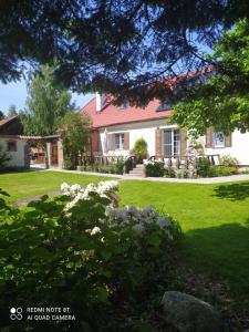 a house with a yard with green grass and flowers at Agroturystyka Pod Czaplami in Pieniężno