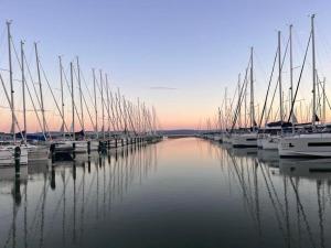 a group of boats docked in a marina at BL Waterside 55 in Balatonlelle +9 photos