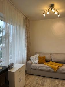 a living room with a couch and a window at Útulný 1kk byt in Líšnice