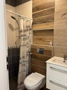 a bathroom with a toilet and a shower curtain at Útulný 1kk byt in Líšnice +11 photos