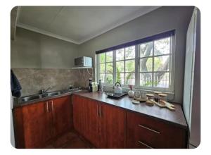 a kitchen with wooden cabinets and a sink and a window at StayAtGoethe in Secunda