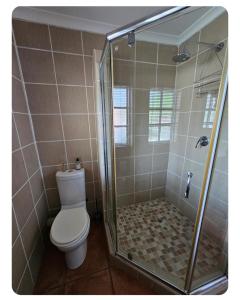 a bathroom with a toilet and a shower at StayAtGoethe in Secunda