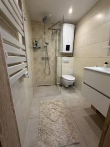 a bathroom with a shower and a toilet and a sink at Harmat Apartman Hajdúnánás in Hajdúnánás