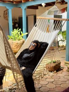 a statue of a gorilla sitting in a hammock at Hostel Trip Monkey Barichara in Barichara
