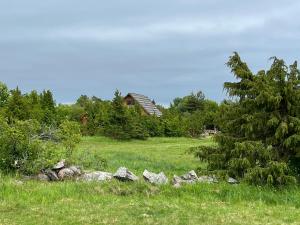 a field with rocks in front of a house at Heinaküün - magamine heinalakas in Pärna