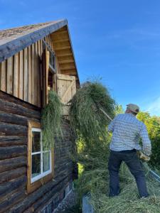a man is pulling hay from the side of a cabin at Heinaküün - magamine heinalakas in Pärna