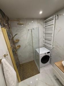 a shower with a glass door in a bathroom at Anuszka Apartament 3 in Gdynia