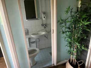 a bathroom with a toilet and a sink at Sveitsin Maja in Hyvinkää