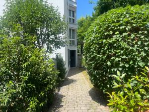 a hallway between two hedge hedges in front of a building at Romantic Space in Hertenstein