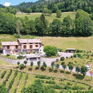 an aerial view of a house in a field at Agriturismo Trapletti in Serina