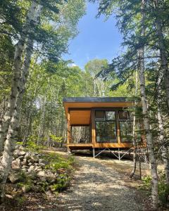 a rendering of a cabin in the woods at Tanières MicroChalets Charlevoix in Baie-Saint-Paul