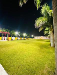 a park with palm trees and lights at night at Kanha Green in Habībganj