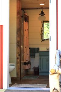a bathroom with a toilet and a sink at Grizzly Gulch Cabin Historic in Keystone