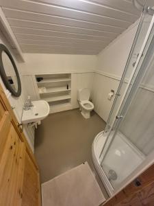 a bathroom with a shower and a toilet and a sink at Villa Strand in Skodje +26 photos