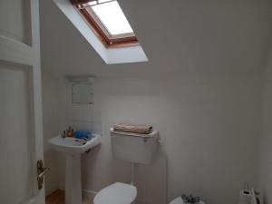 a bathroom with a toilet and a sink and a skylight at Comfy Home in Castlebar +115 photos
