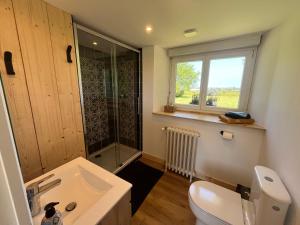 a bathroom with a toilet and a sink and a window at Ty glaz in Plouguerneau
