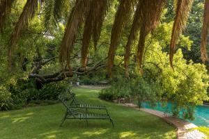 un banco del parque sentado en el césped junto a un árbol en Grace Guest House, en Johannesburgo