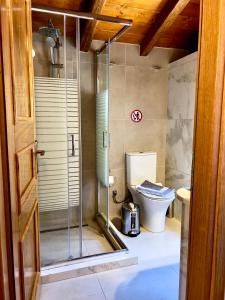 a bathroom with a shower and a toilet at Twin vista getaway in Meyisti +37 photos