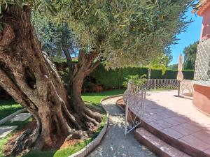 a large tree in a yard next to a fence at Villa du Capelan - BANDOL in Bandol