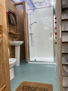 a bathroom with a shower and a toilet and a sink at Cefn Crib Safari Tent in Machynlleth