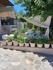 a row of potted plants sitting on a table at Sirena House in Limenaria