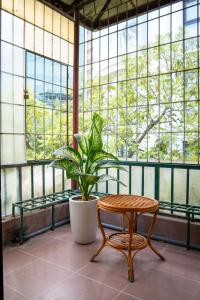 a table and a plant in a room with windows at DoDo Apartments in Hanoi