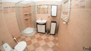 La salle de bains est pourvue d'un lavabo, d'une douche et de toilettes. dans l'établissement Apartamenty Sedinum - Modern, à Szczecin