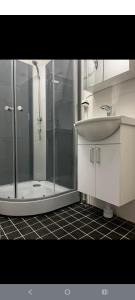 a bathroom with a shower and a sink at Skäralid, Söderåsen national park in Ljungbyhed