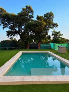 a swimming pool in a yard with a tree at Fuente Ghadira Aracena in Aracena