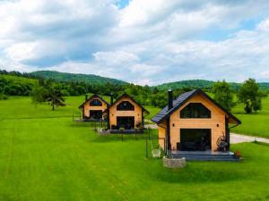 a group of cottages on a green field at Jaworowe Wzgórze in Wysowa-Zdrój