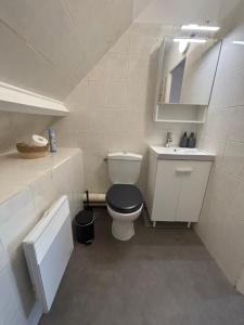 a small bathroom with a toilet and a sink at Maison près de la mer in Yffiniac +19 photos