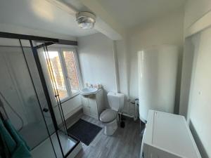 a bathroom with a toilet and a glass shower at Appartement 2 in Vireux-Wallerand