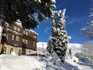 Alpský Hotel v zimě