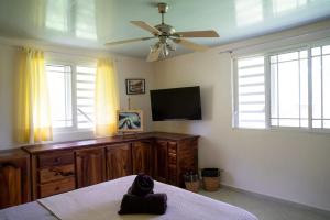 Gallery image of Dolce Vita Villa Moorea in Paopao +22 photos