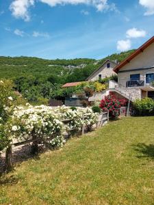 a yard with white flowers and a house at Les violettes du Bugey in Marchamp