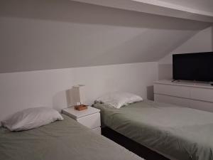 a bedroom with two beds and a flat screen tv at Les violettes du Bugey in Marchamp
