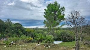 a tree on top of a hill in a field at Cabañas Elementos in Huerta Grande