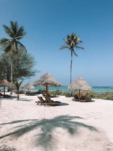 a beach with chairs and umbrellas and palm trees at Villa Upendo with Private Pool and Ocean View Zanzibar in Pingwe